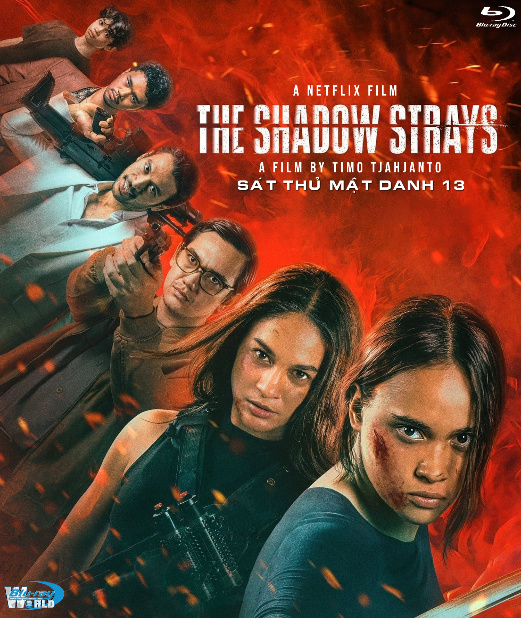 B6282.The Shadow Strays 2024  SÁT THỦ MẬT DANH 13  2D25G  (DTS-HD MA 7.1)